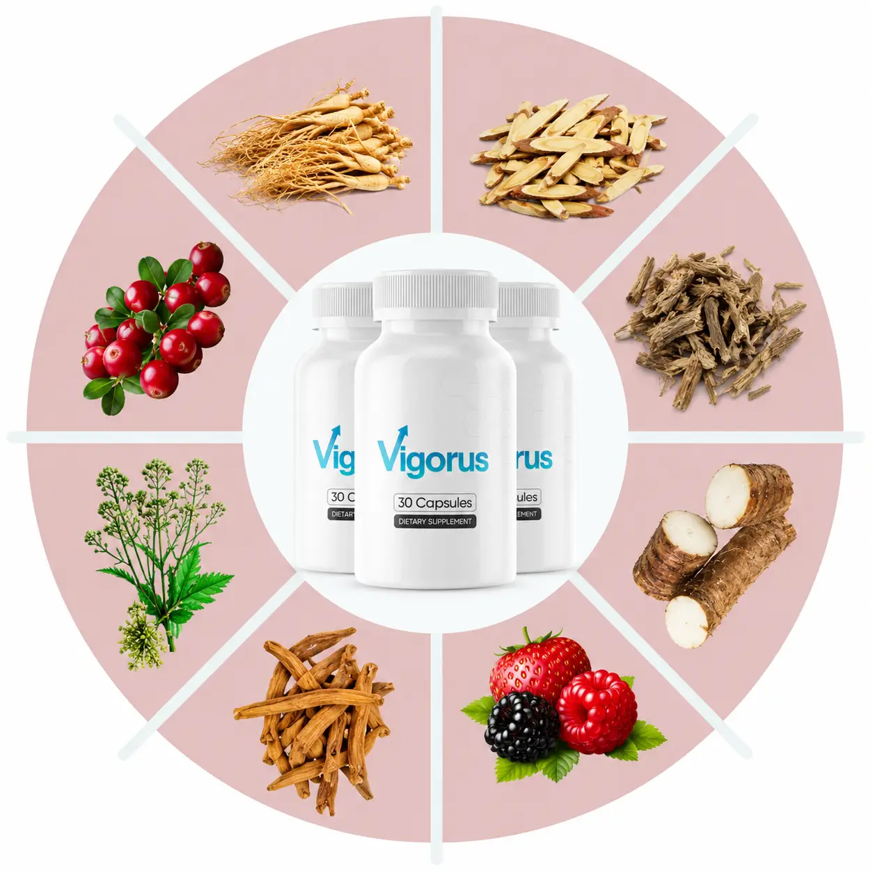 Vigorus ingredients