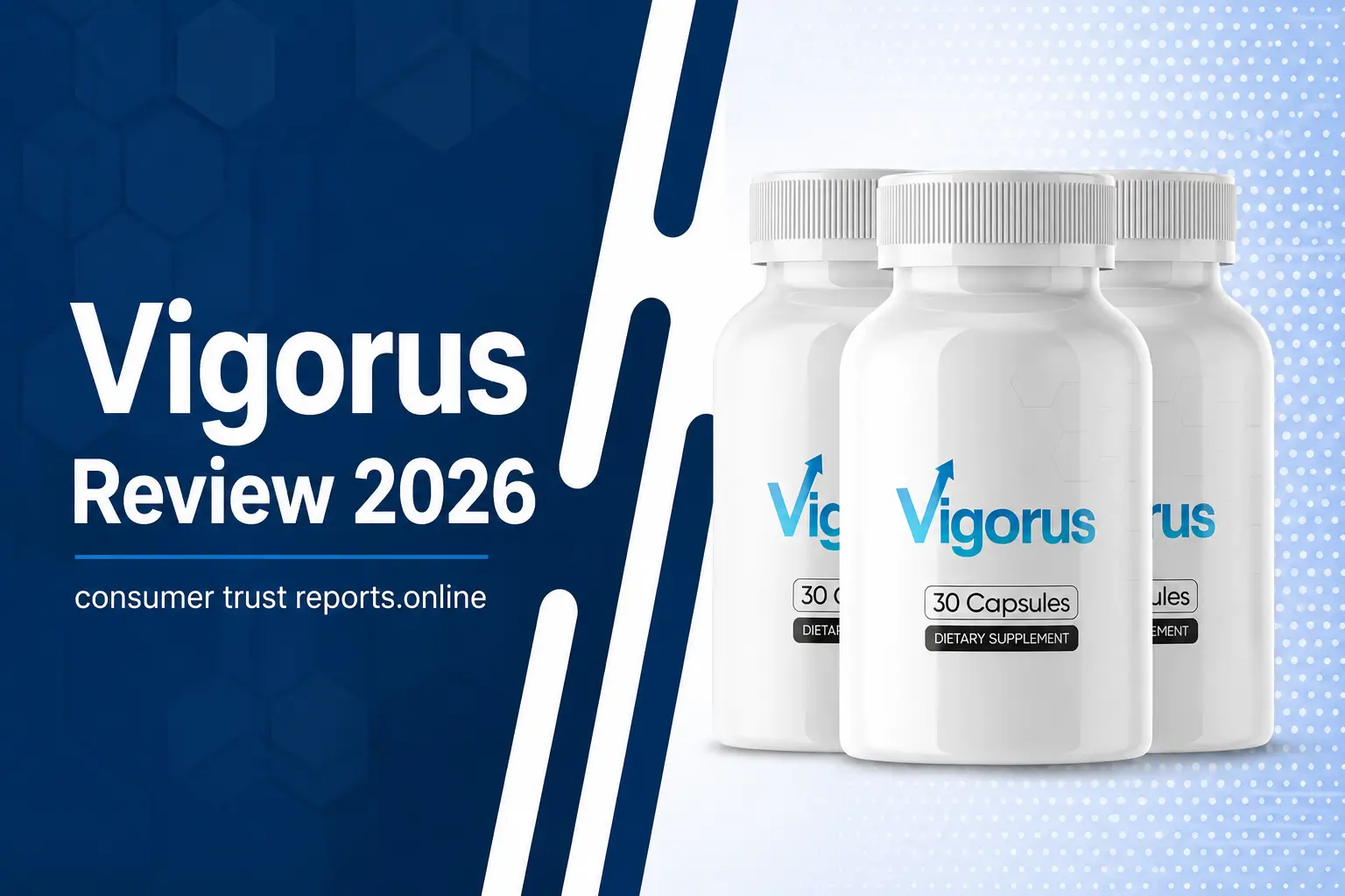 Vigorus review banner